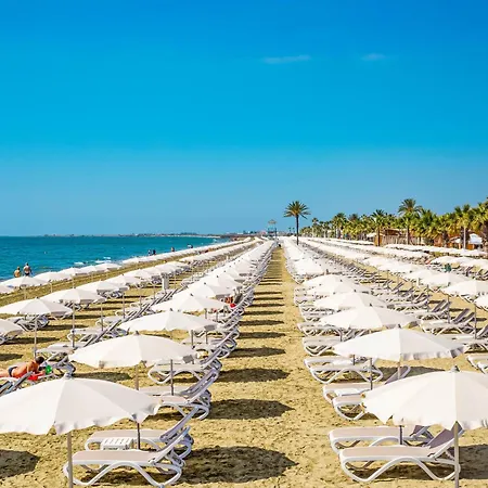 Mackenzie Larnaca